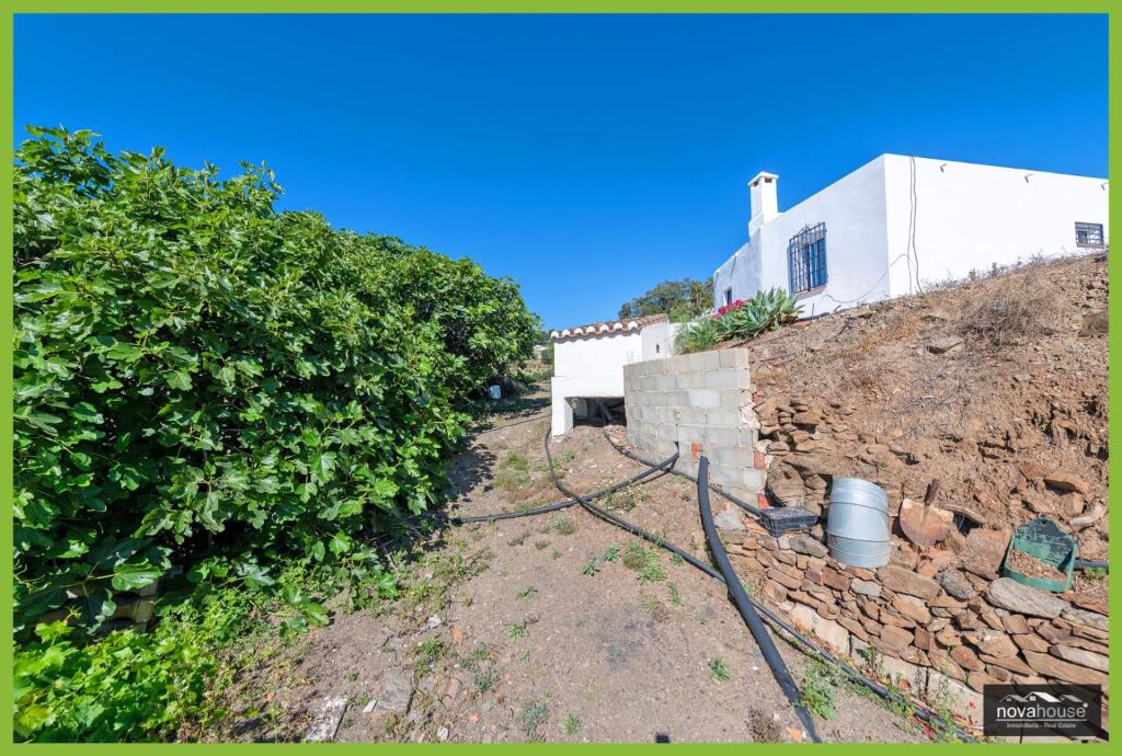 Exclusiva finca de aguacates con dos viviendas y espectacula - foto 44