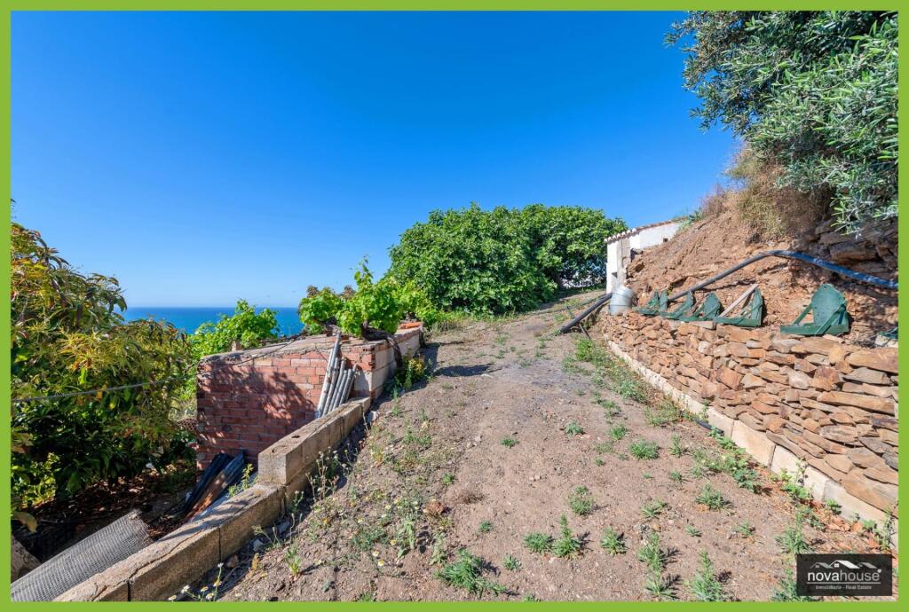 Exclusiva finca de aguacates con dos viviendas y espectacula - foto 46