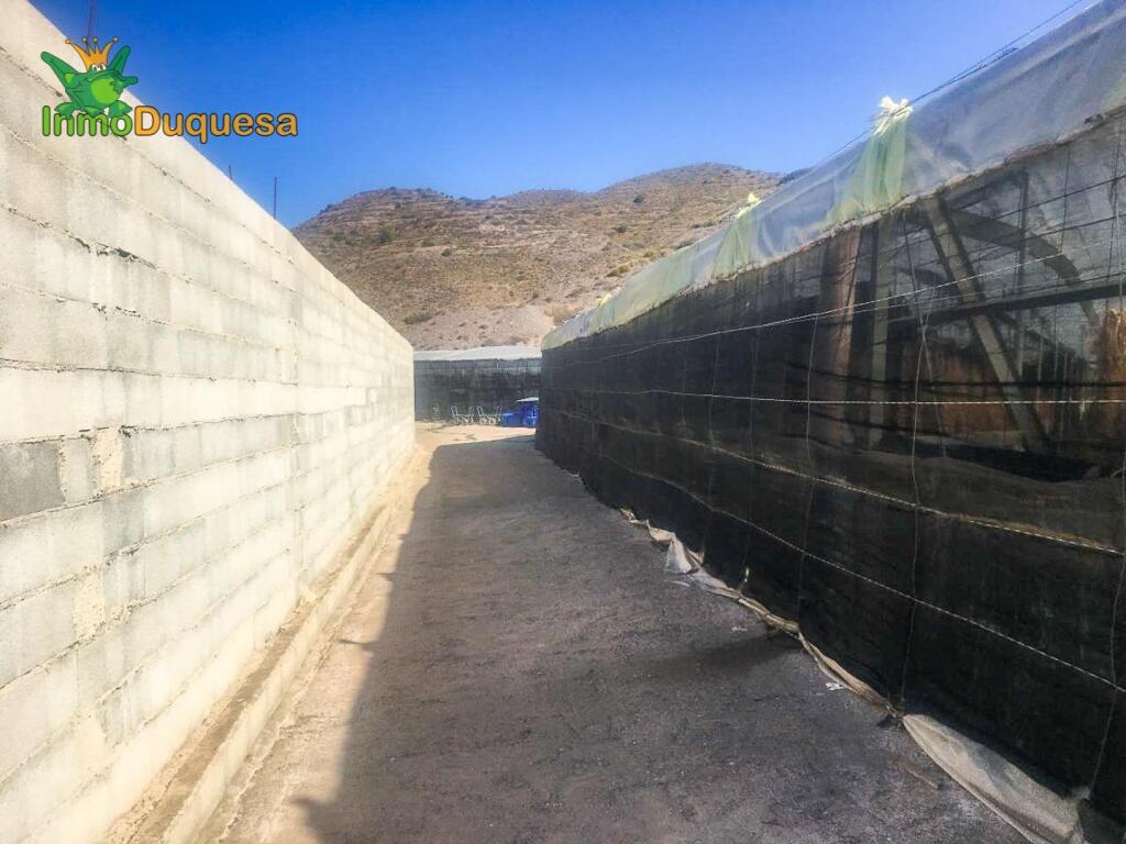 HAZNOS TU OFERTA DE PRECIO!!  INVERNADERO en venta en Melice - foto 19