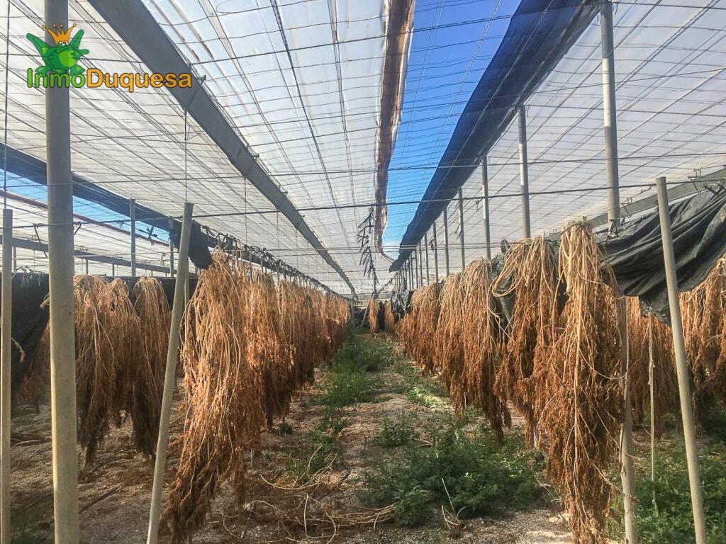 HAZNOS TU OFERTA DE PRECIO!!  INVERNADERO en venta en Melice - foto 20