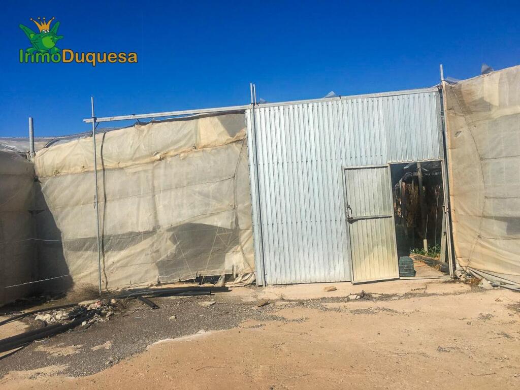 HAZNOS TU OFERTA DE PRECIO!!  INVERNADERO en venta en Melice - foto 22