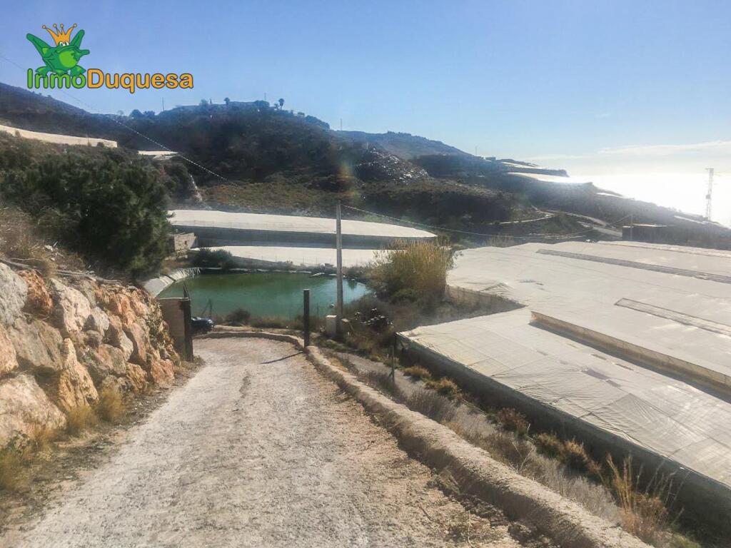 HAZNOS TU OFERTA DE PRECIO!!  INVERNADERO en venta en Melice - foto 23