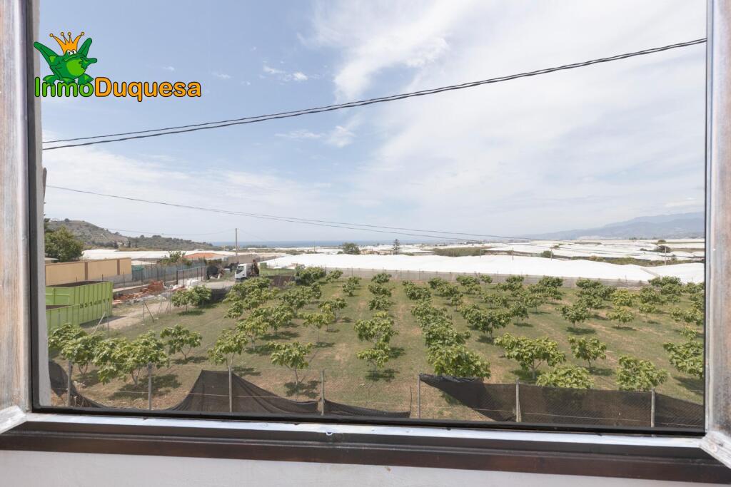 GRAN VILLA de UNA SOLA PLANTA en MOTRIL - foto 70