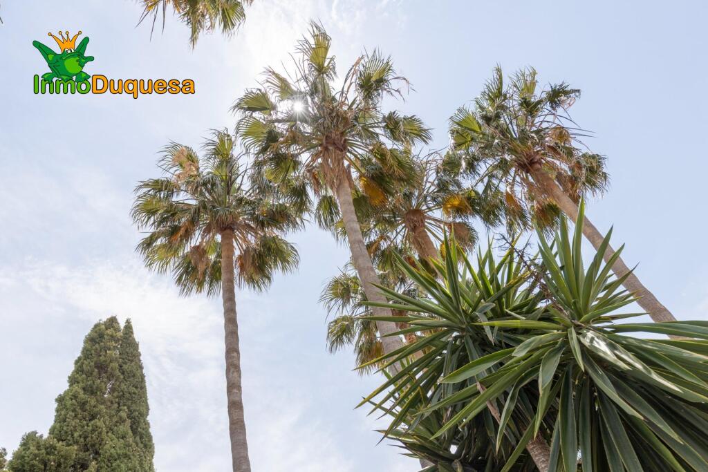 GRAN VILLA de UNA SOLA PLANTA en MOTRIL - foto 72