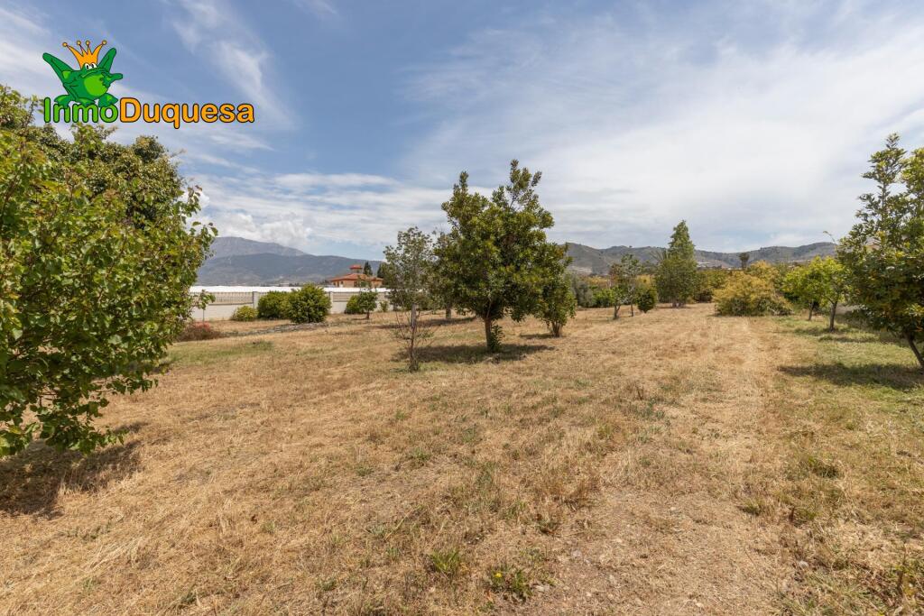 GRAN VILLA de UNA SOLA PLANTA en MOTRIL - foto 85