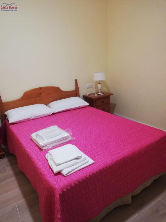 AMPLIA VIVIENDA REFORMADA.-ZONA CALLE ANCHA - foto 13
