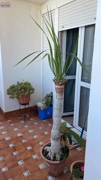 AMPLIA VIVIENDA A LOS PIES DE LA CALETA - foto 17