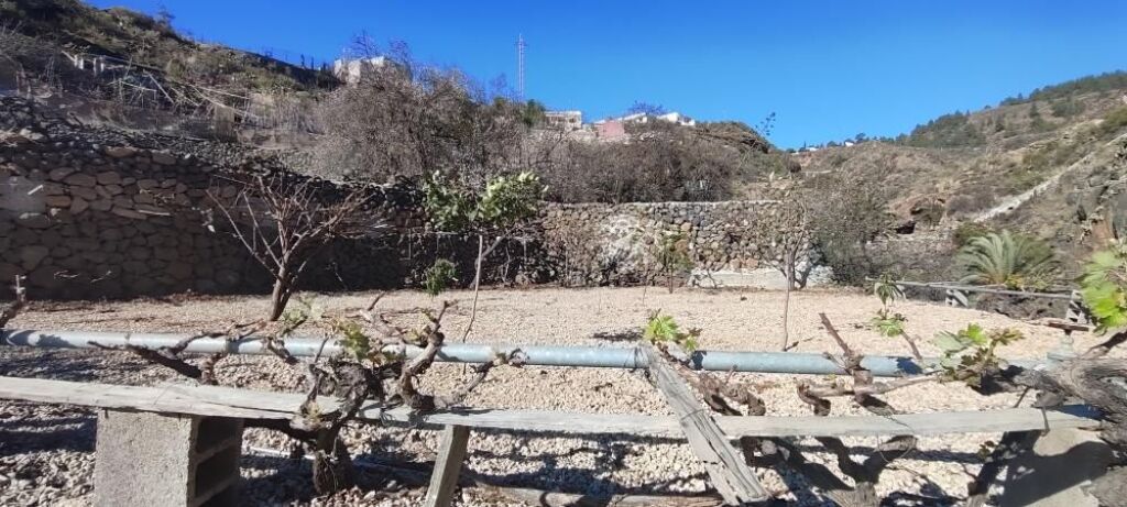 Terreno rústico en Granadilla con acceso rodado