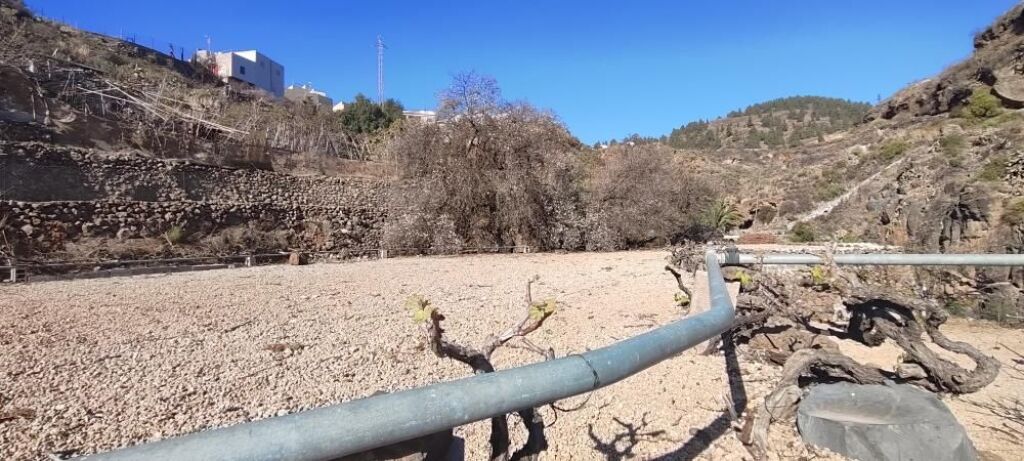 Terreno rústico en Granadilla con acceso rodado - foto 15