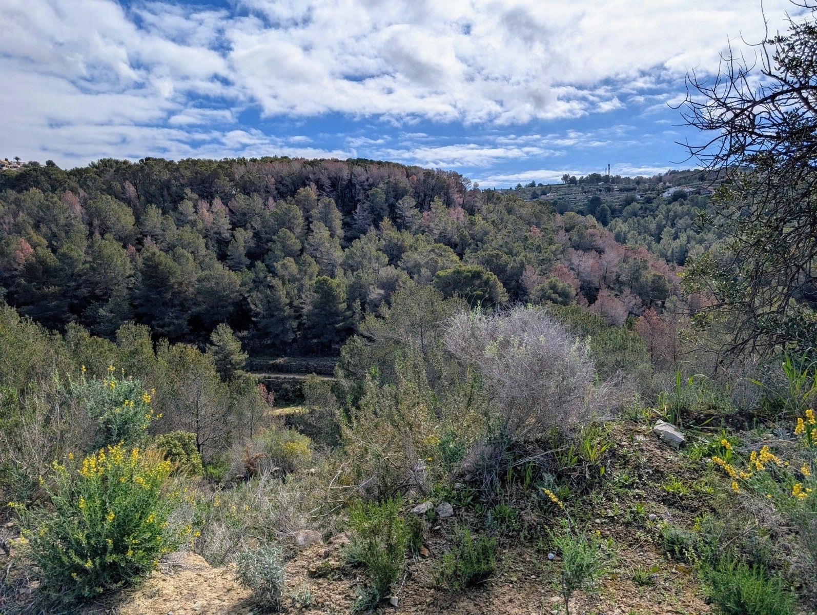 Terreno urbano en venta - Benissa pueblo - foto 11