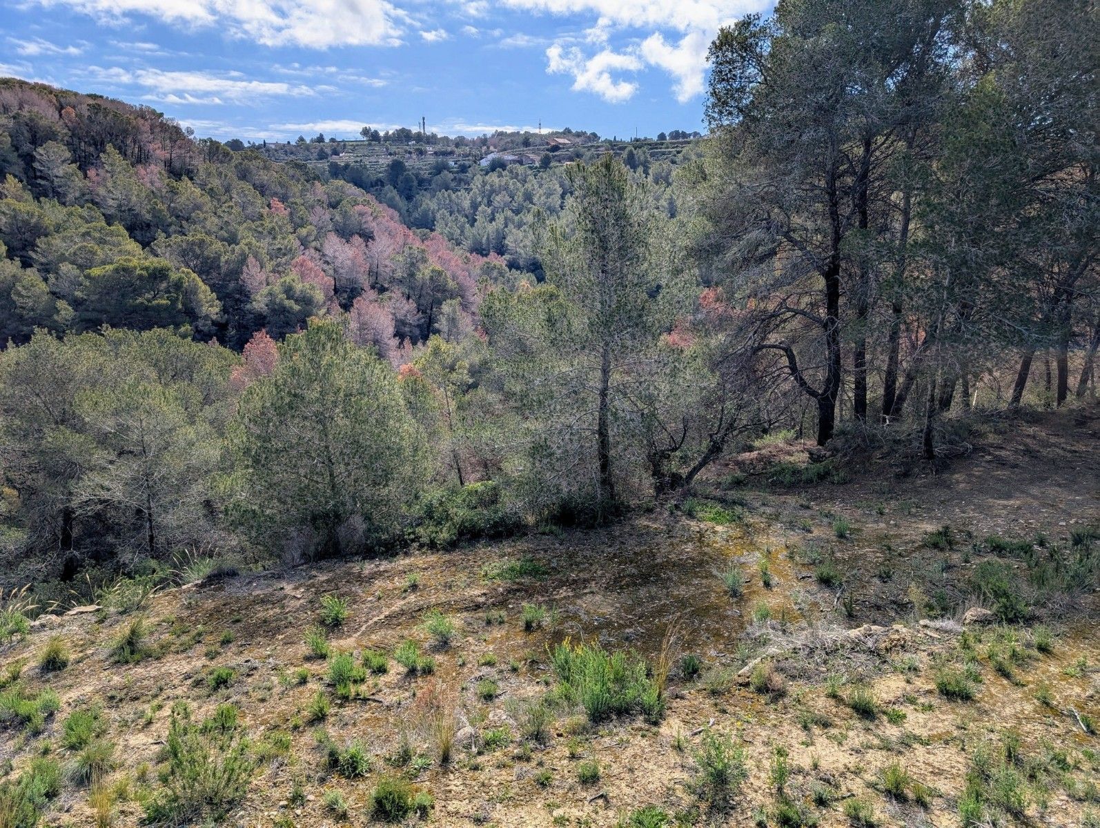 Terreno urbano en venta - Benissa pueblo - foto 12