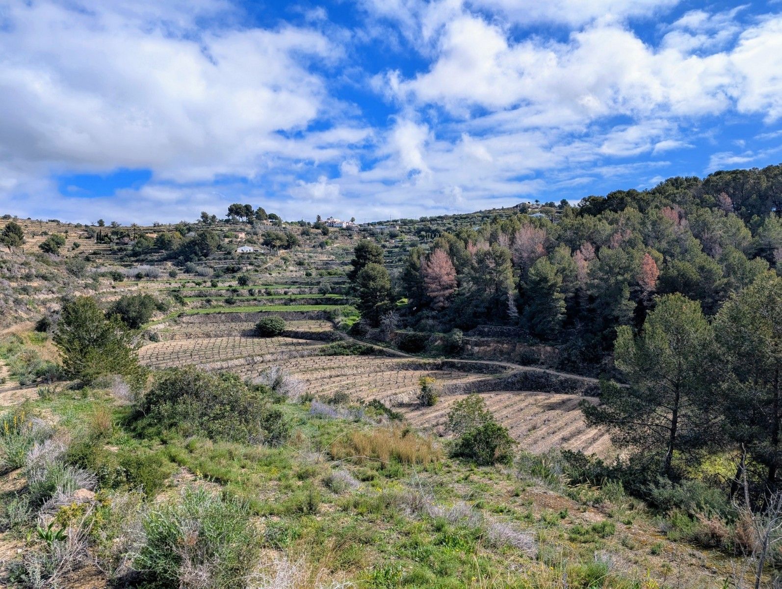 Terreno urbano en venta - Benissa pueblo - foto 13
