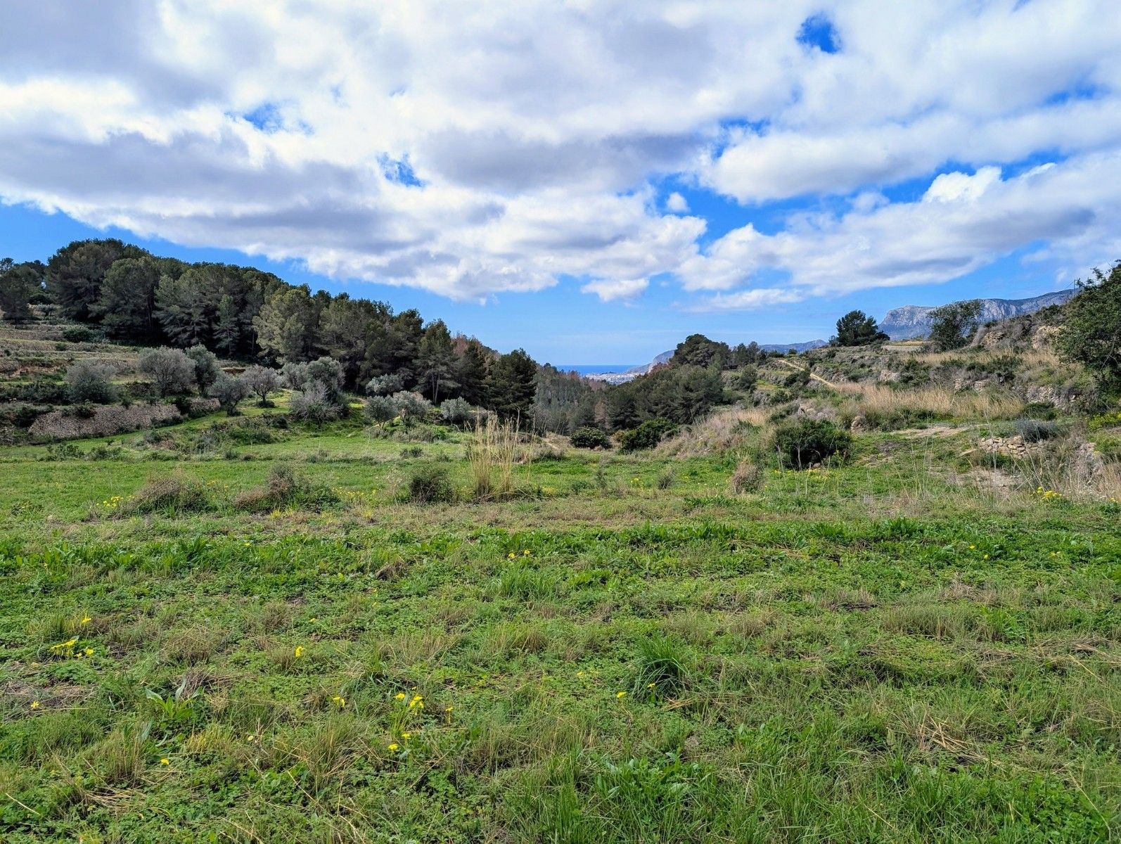 Terreno urbano en venta - Benissa pueblo - foto 18