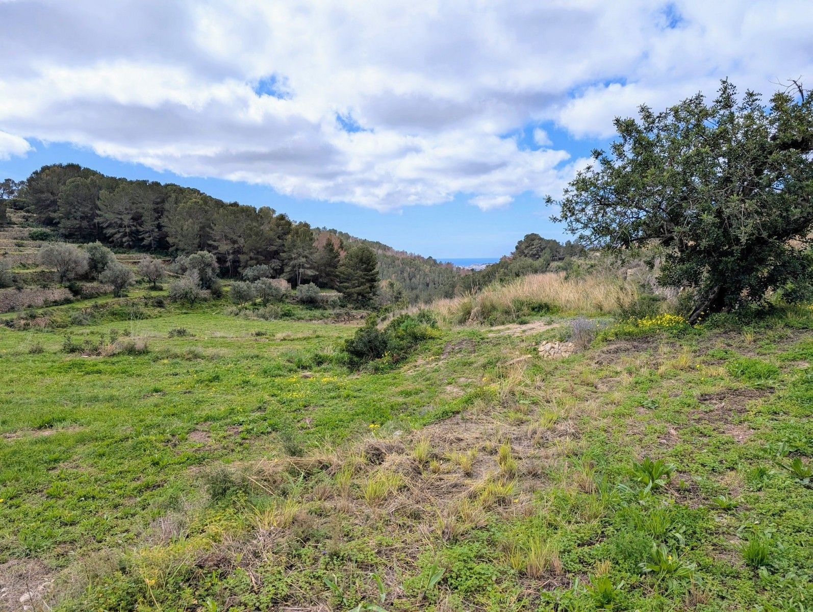 Terreno urbano en venta - Benissa pueblo - foto 19