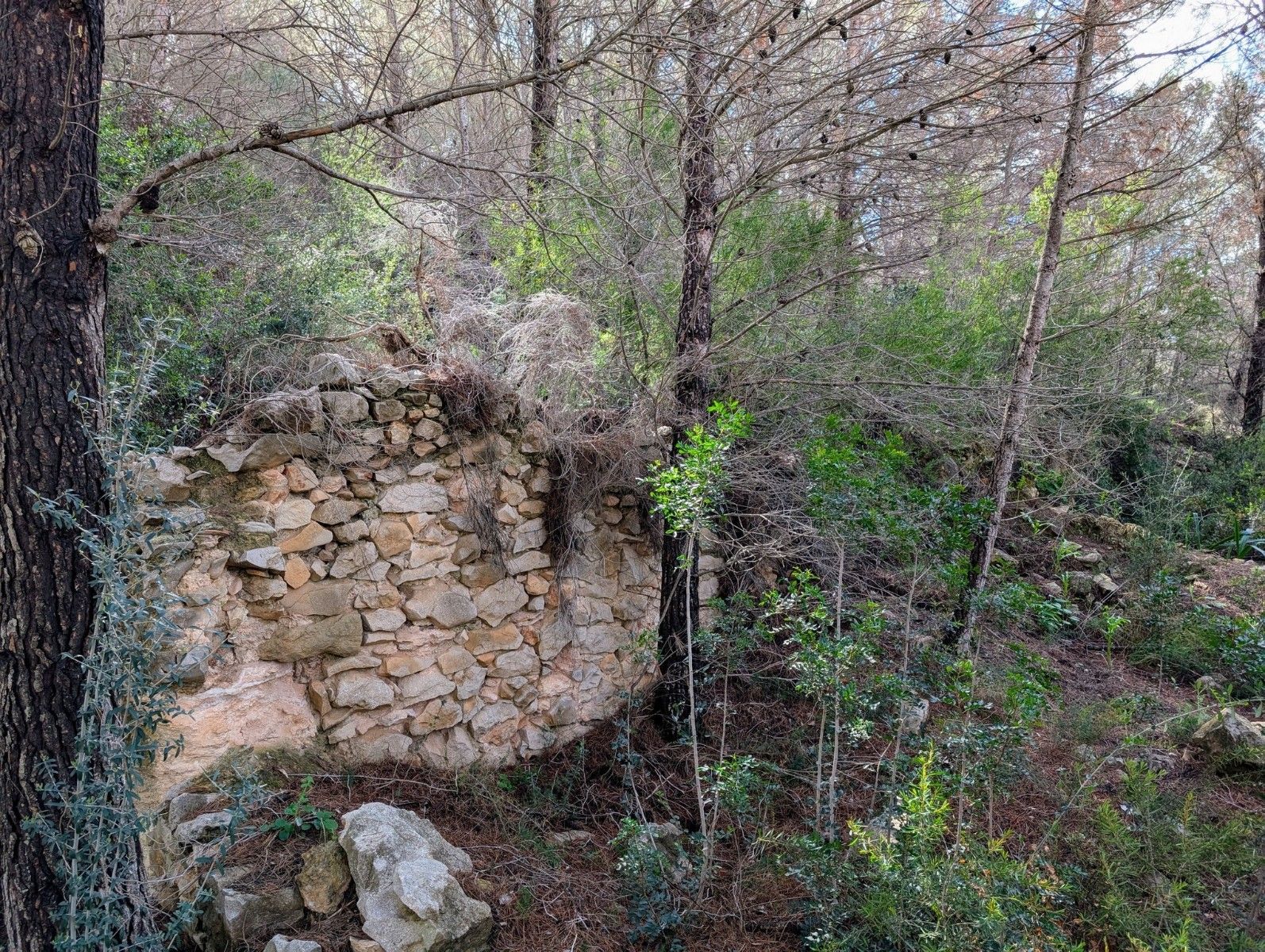 Terreno urbano en venta - Benissa pueblo - foto 23