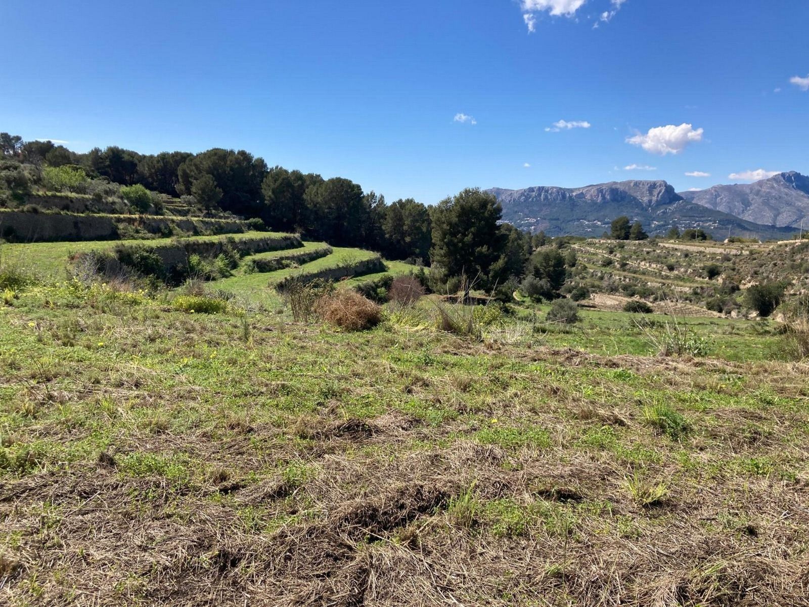 Terreno urbano en venta - Benissa pueblo - foto 4