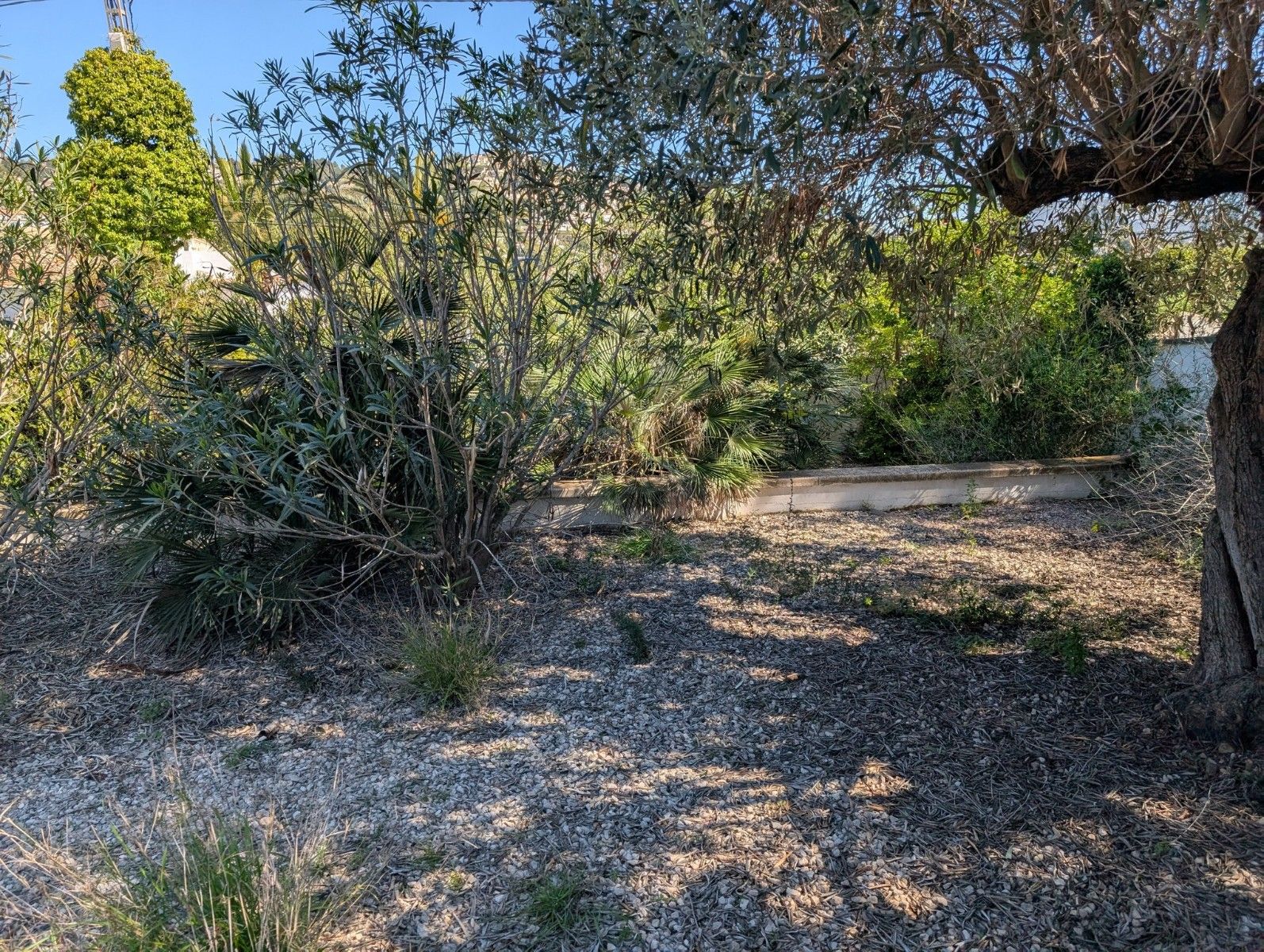 Terreno urbano en venta - Cala Advocat - Baladrar - foto 14