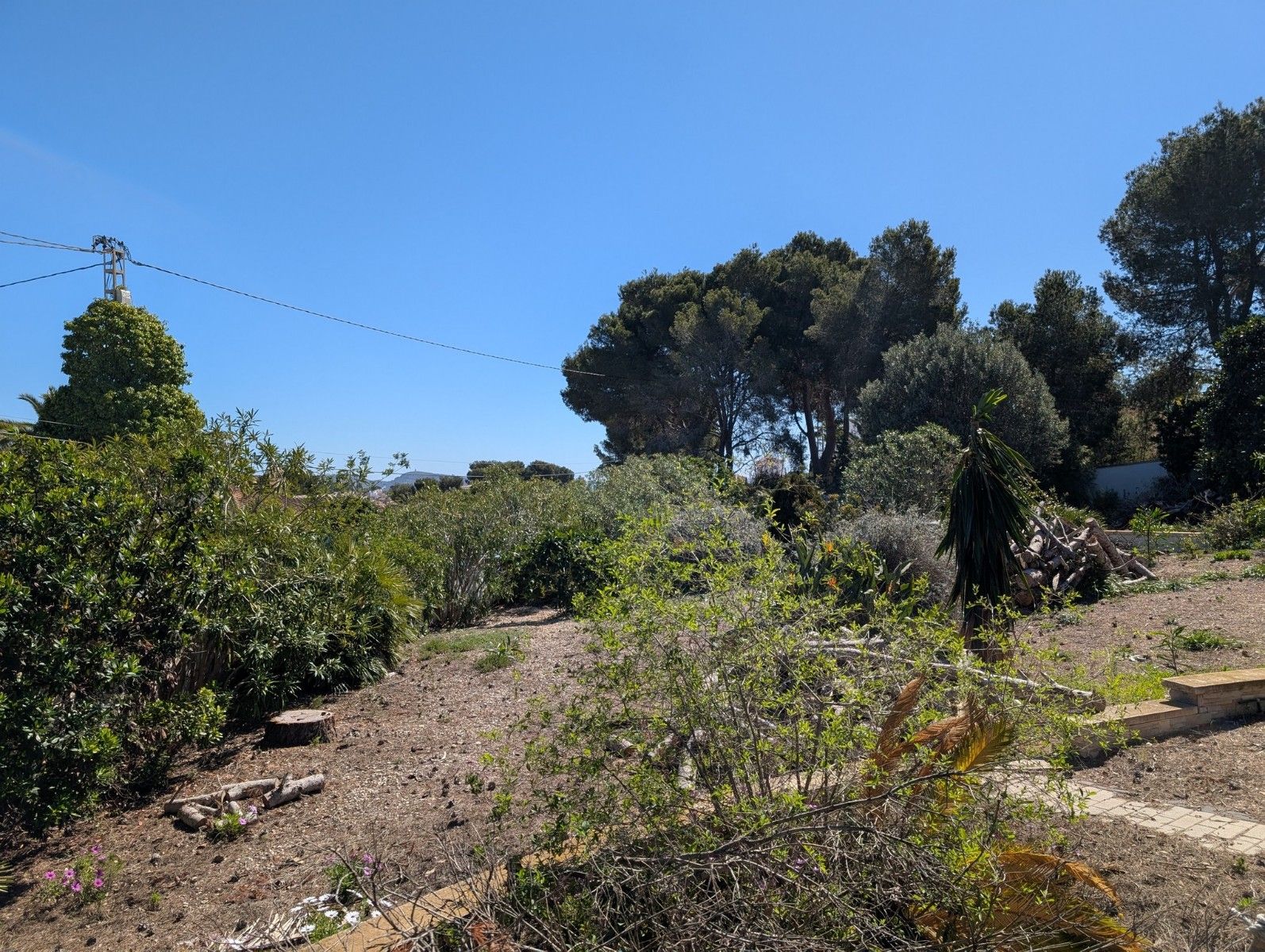 Terreno urbano en venta - Cala Advocat - Baladrar - foto 9