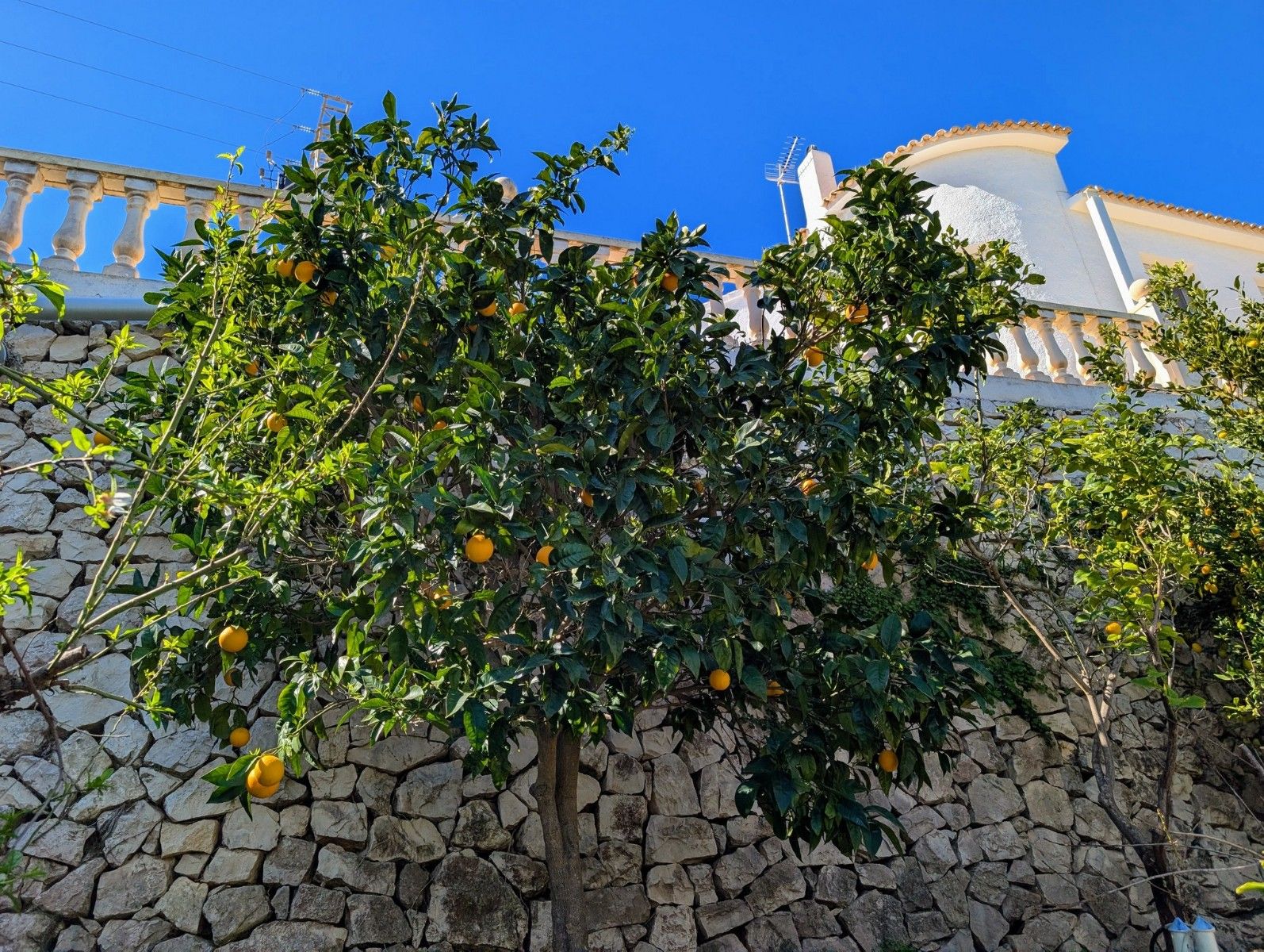 Villa 4 habitaciones 183m² en venta - Cala Advocat - Baladra - foto 44