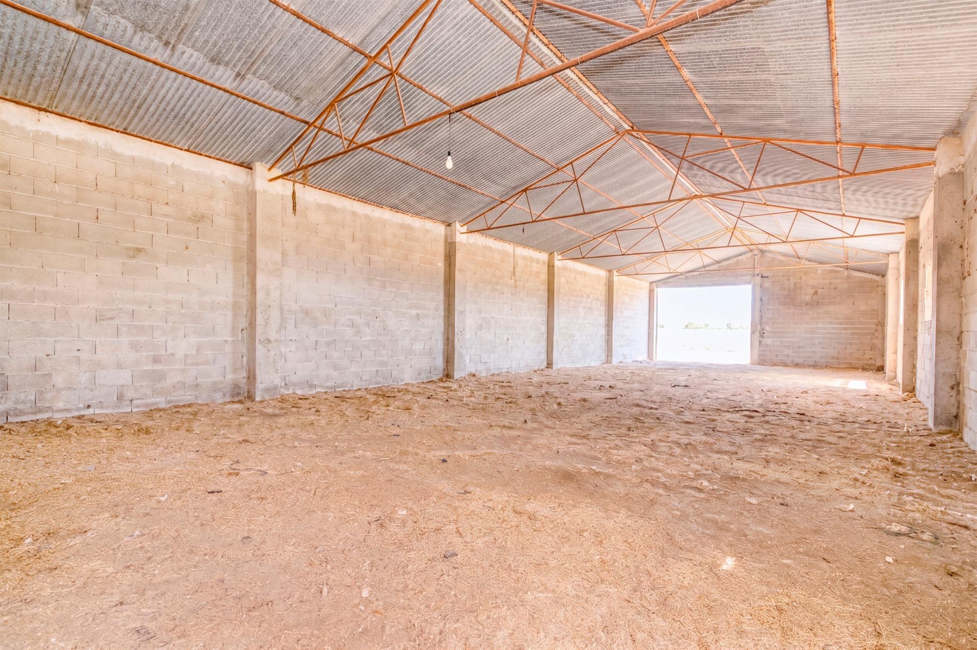 FINCA EN ATARFE CON DOS NAVES Y COBERTIZO - foto 12
