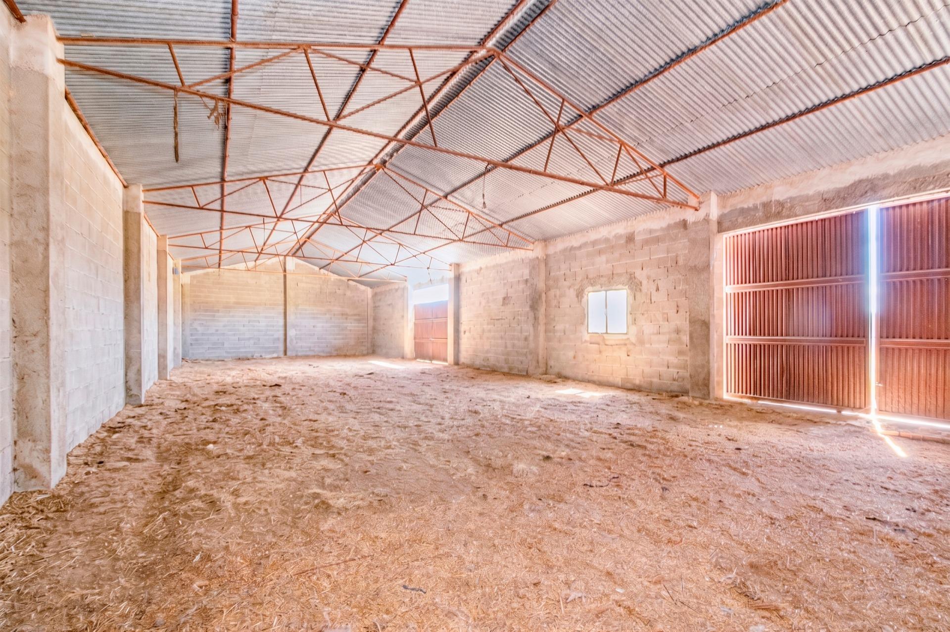 FINCA EN ATARFE CON DOS NAVES Y COBERTIZO - foto 13