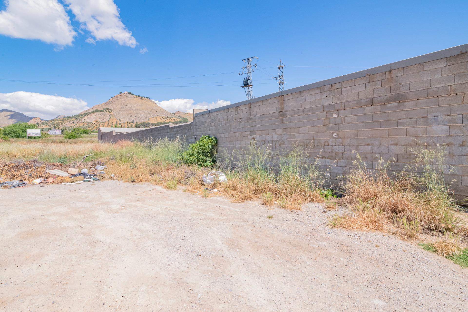 FINCA EN ATARFE CON DOS NAVES Y COBERTIZO - foto 38