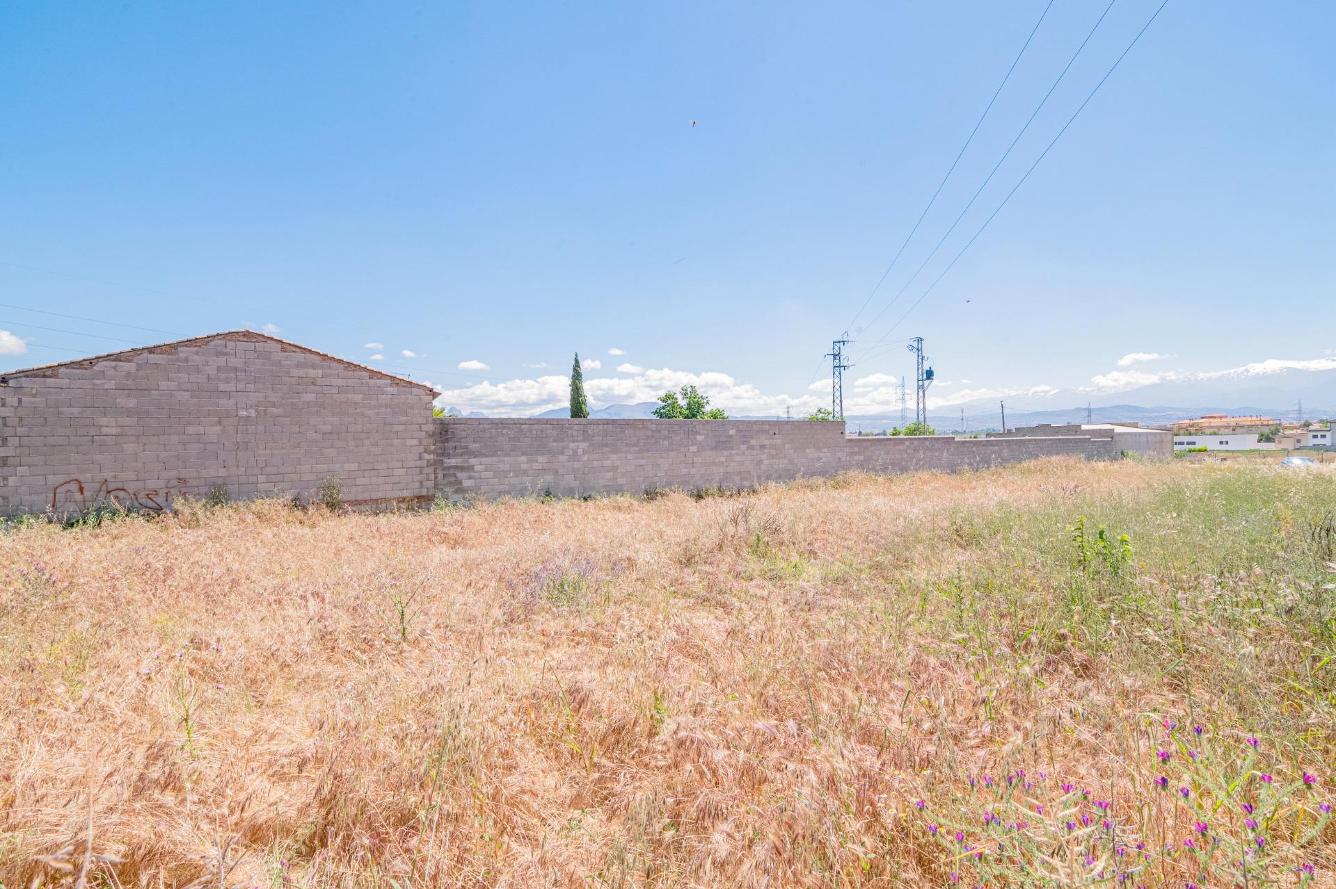 FINCA EN ATARFE CON DOS NAVES Y COBERTIZO - foto 40