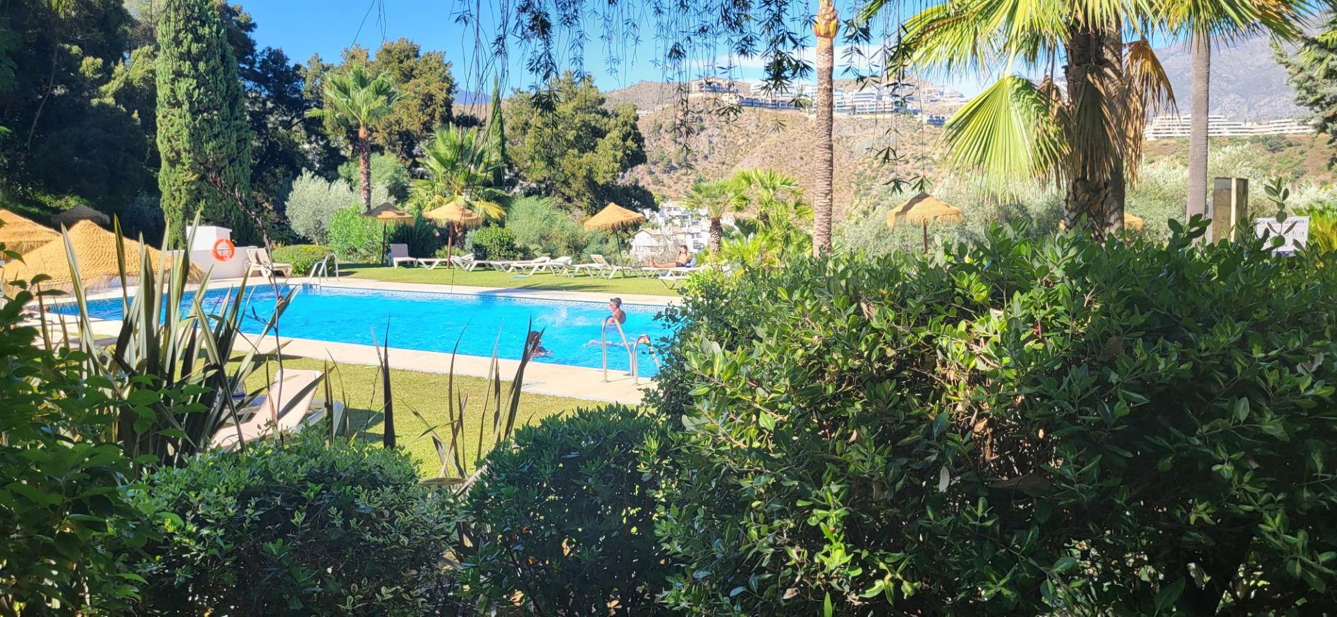 LARGA TEMPORADA. QUINTA DE LOS ALTOS!!! - foto 48