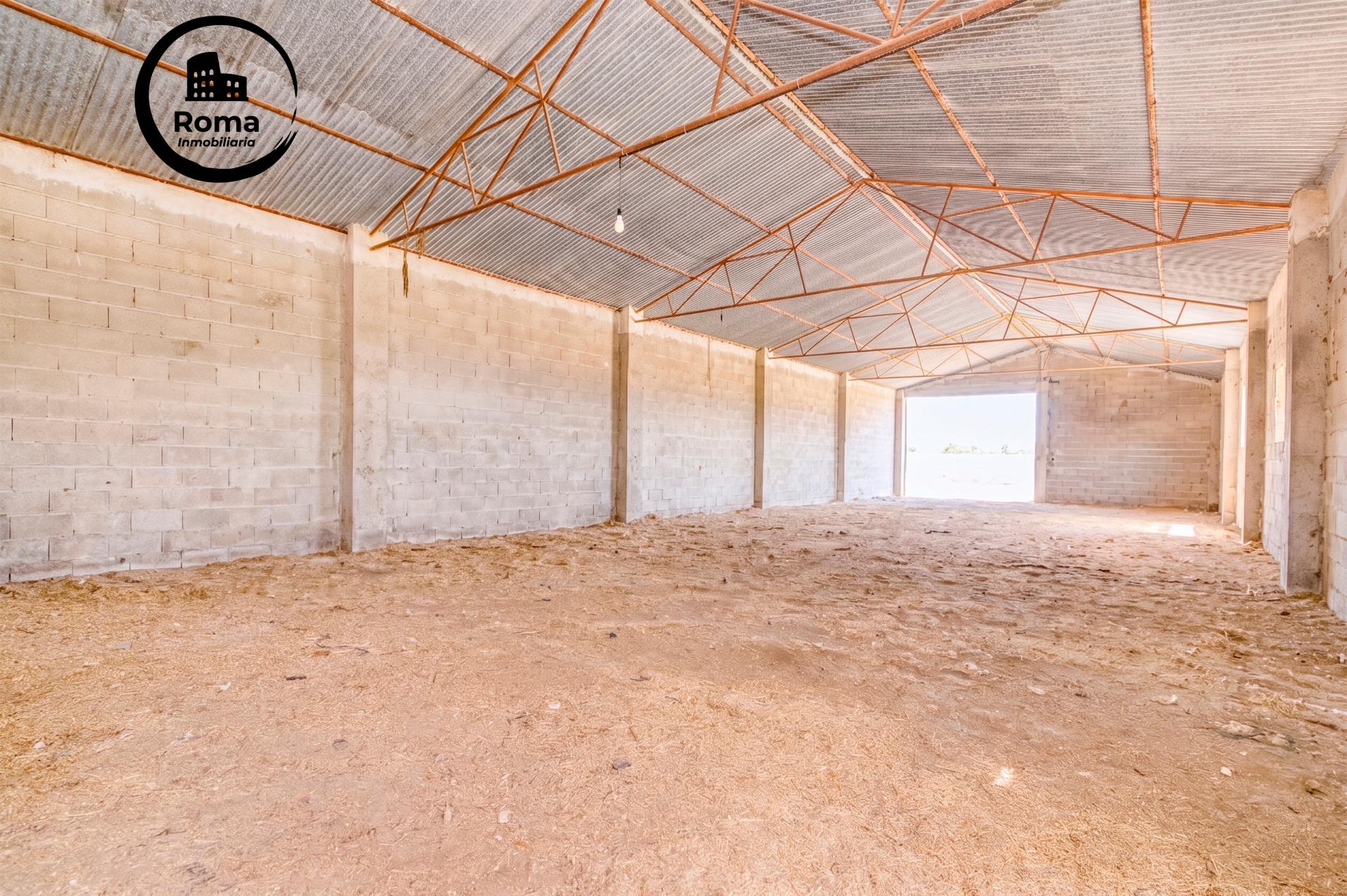 FINCA EN ATARFE CON DOS NAVES Y COBERTIZO - foto 12