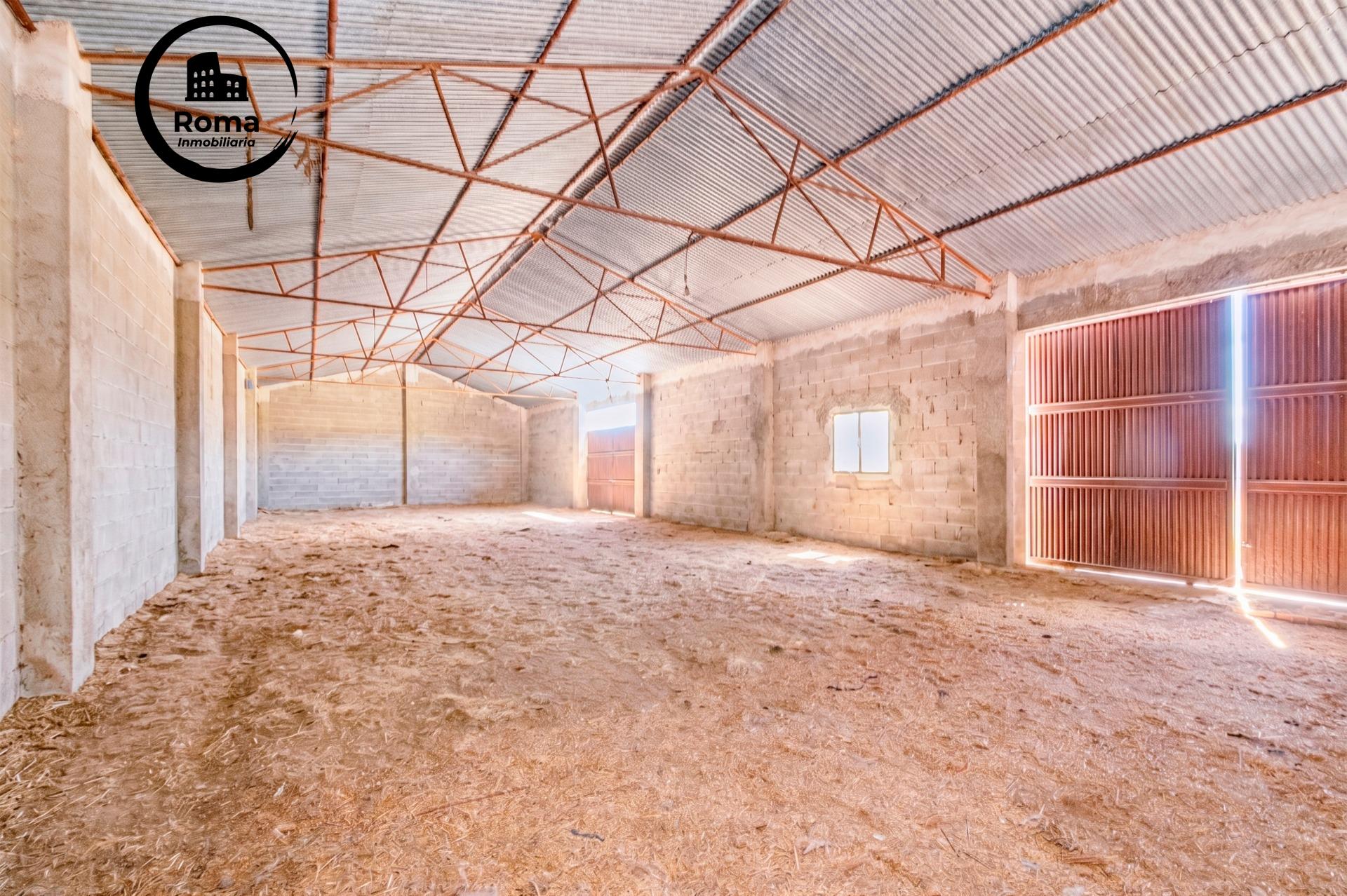 FINCA EN ATARFE CON DOS NAVES Y COBERTIZO - foto 13
