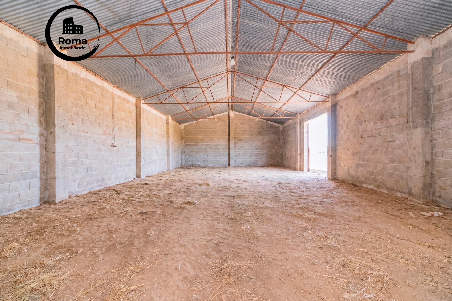 FINCA EN ATARFE CON DOS NAVES Y COBERTIZO - foto 14