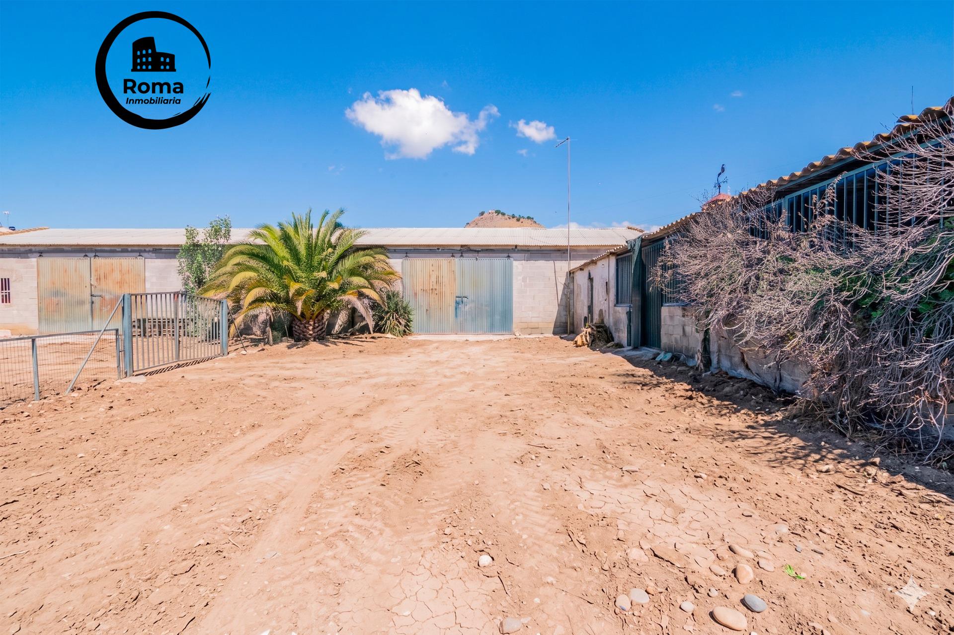FINCA EN ATARFE CON DOS NAVES Y COBERTIZO - foto 18