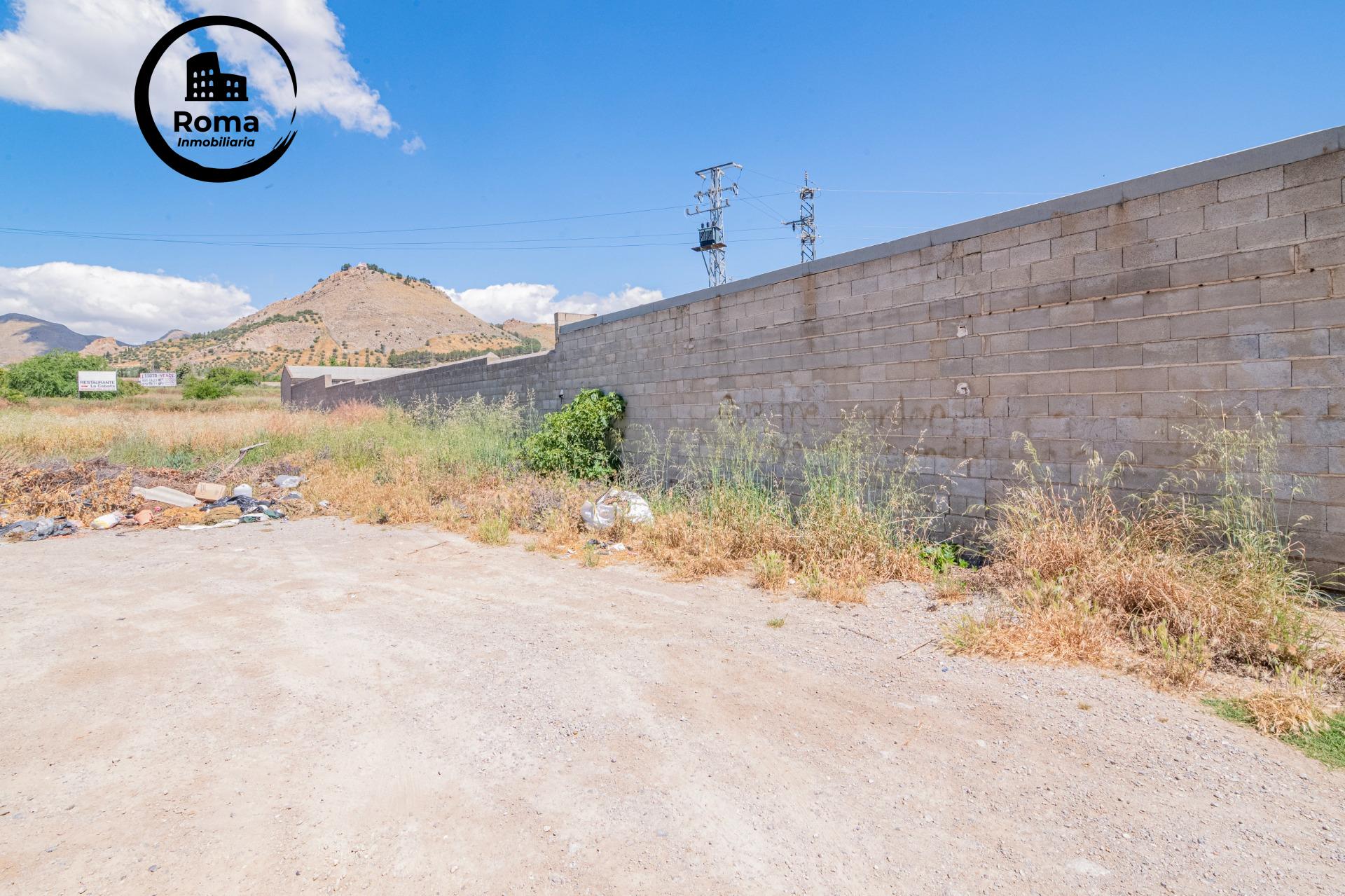 FINCA EN ATARFE CON DOS NAVES Y COBERTIZO - foto 38