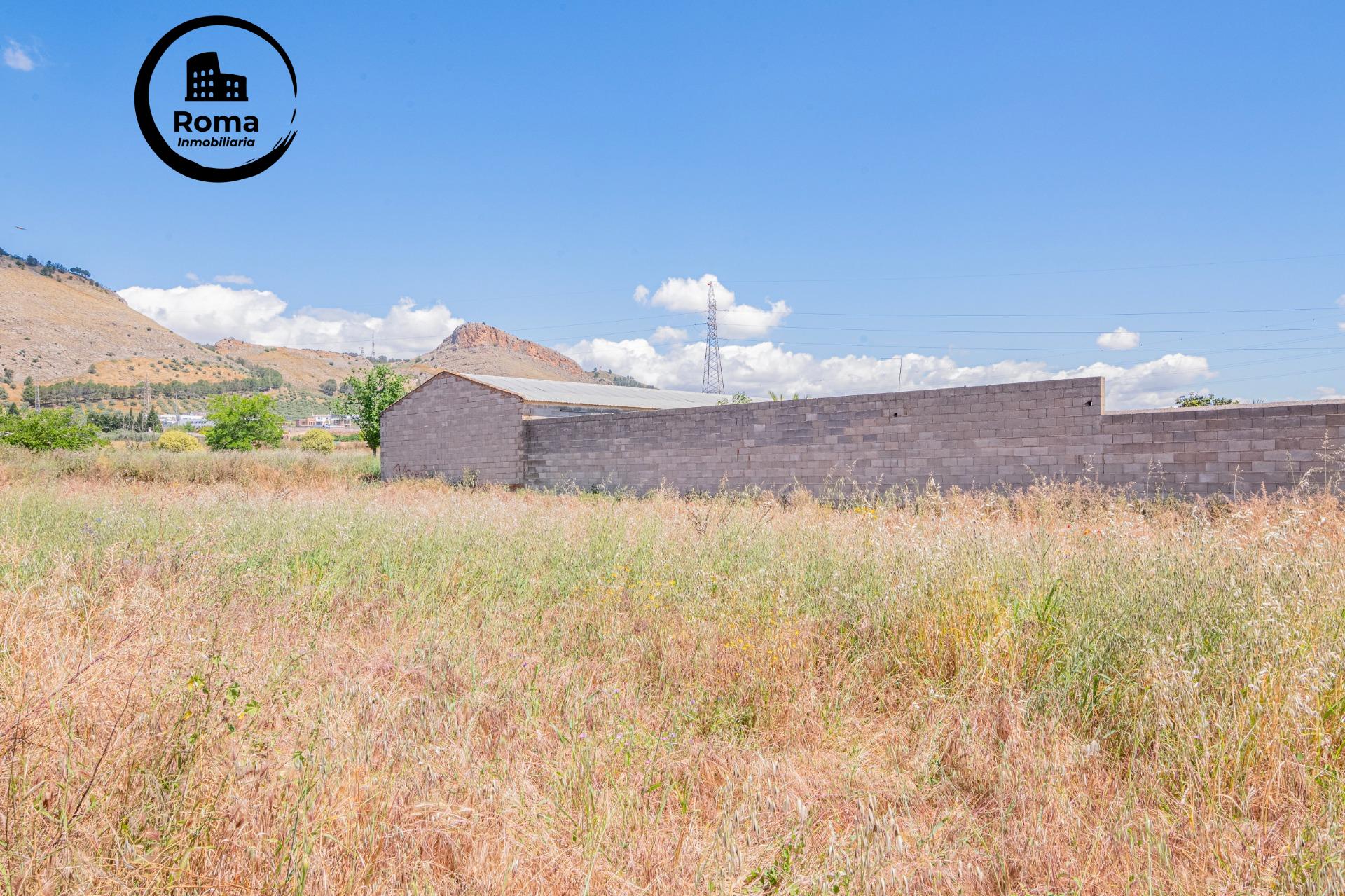 FINCA EN ATARFE CON DOS NAVES Y COBERTIZO - foto 39