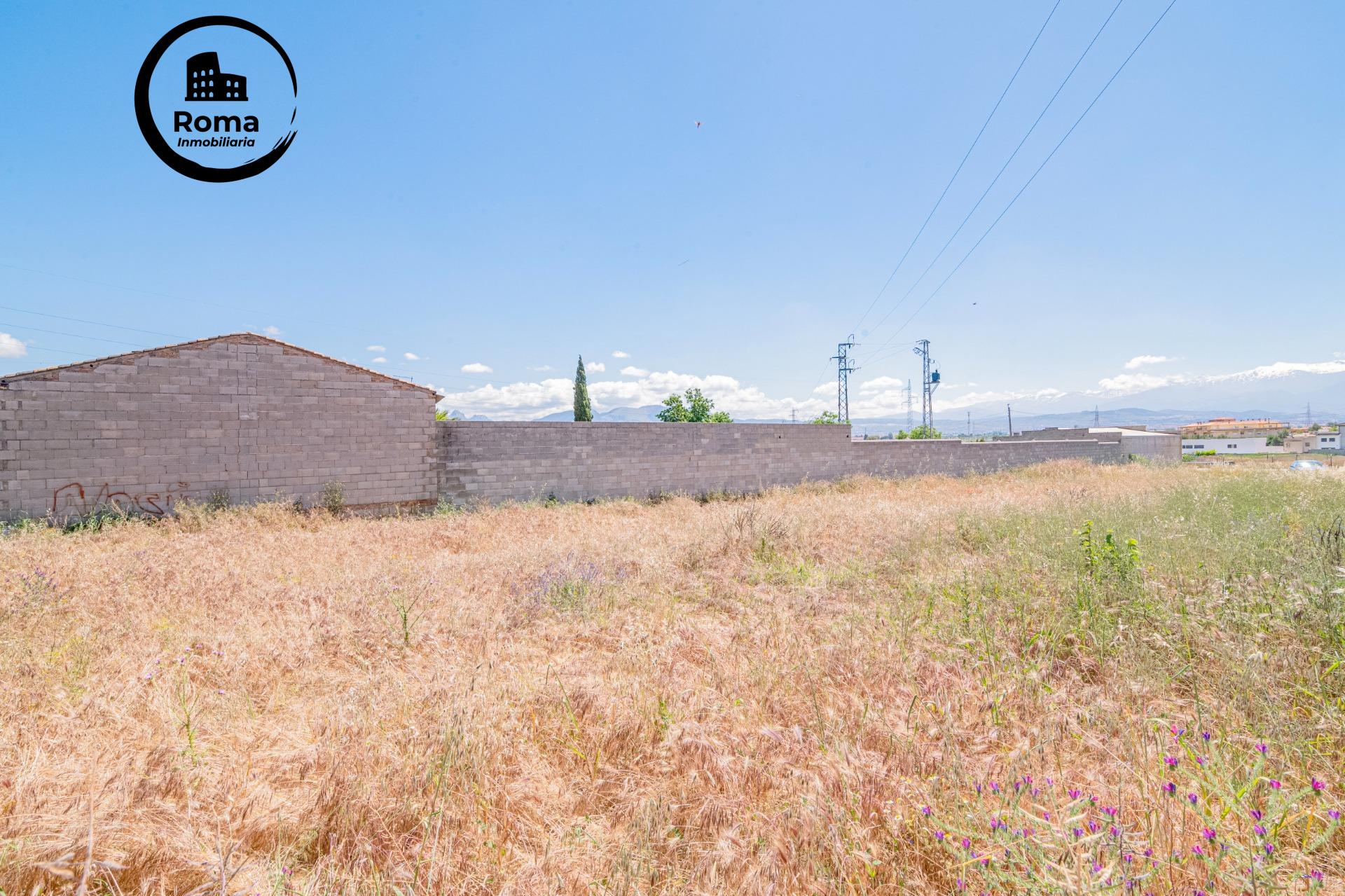 FINCA EN ATARFE CON DOS NAVES Y COBERTIZO - foto 40