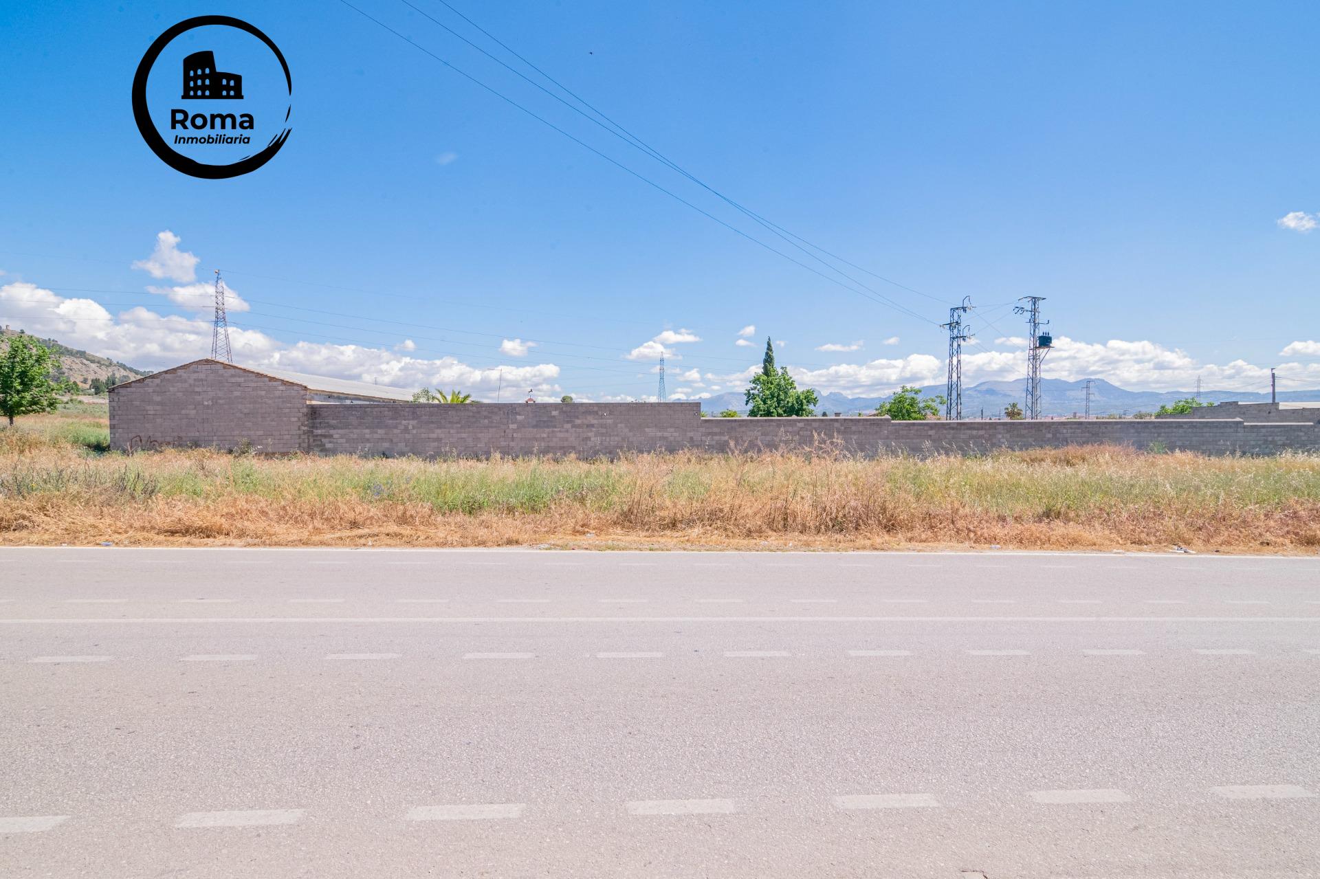 FINCA EN ATARFE CON DOS NAVES Y COBERTIZO - foto 42