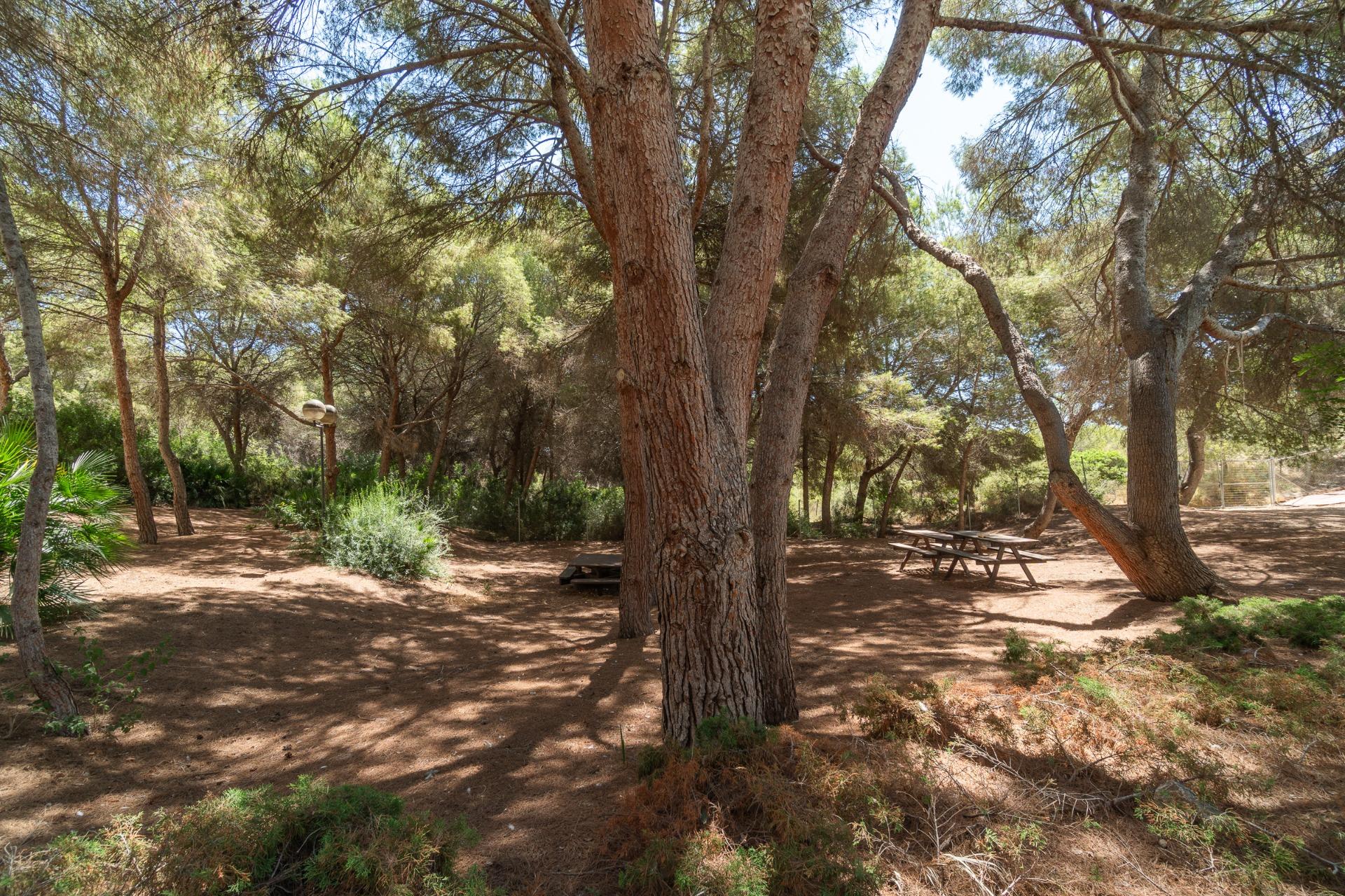 Apartamento con vistas al mar en Altos de Campoamor (Orihuel - foto 28