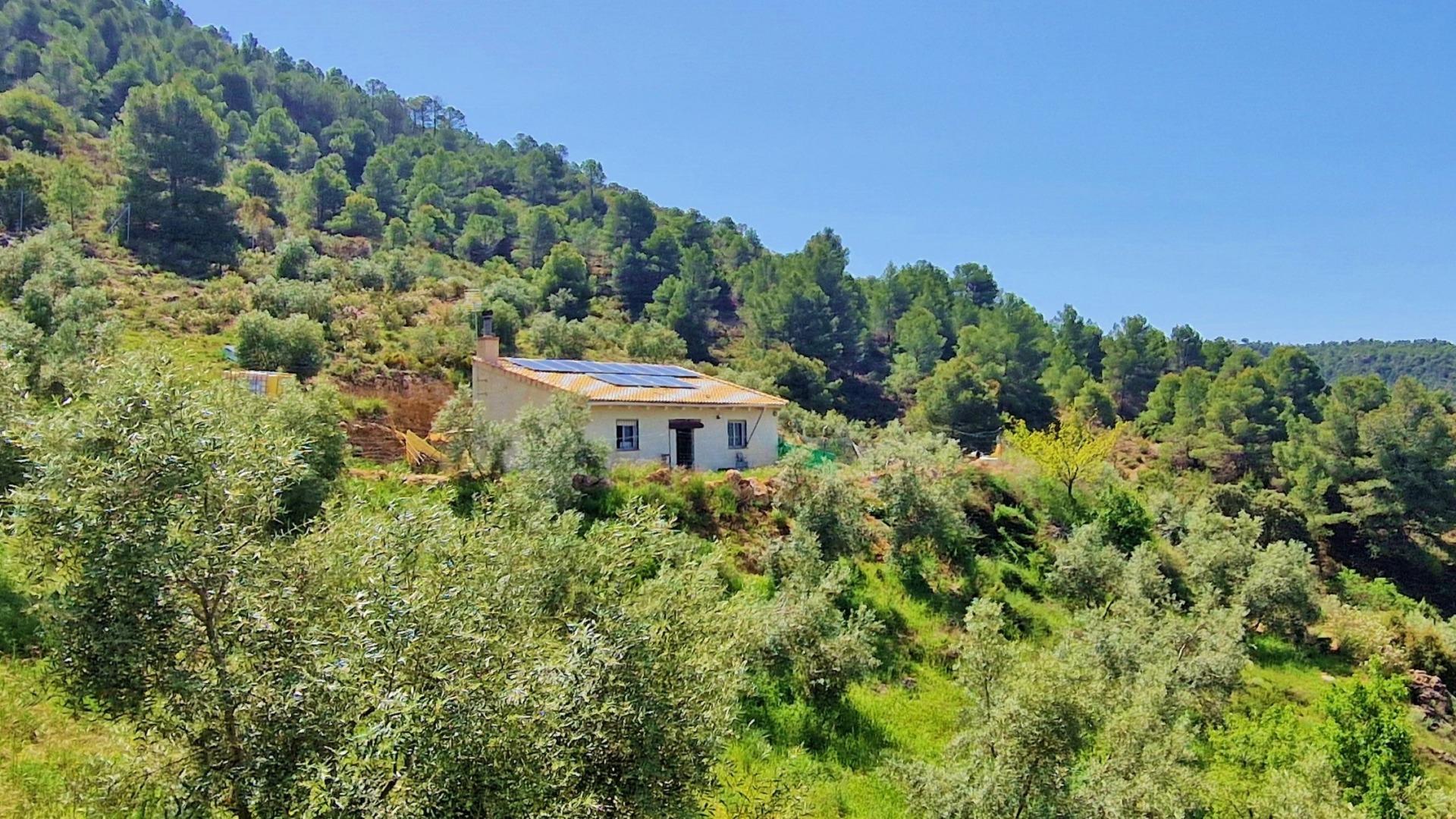¡Oportunidad en Jayena! Finca de Olivar con Casita y Luz Solar