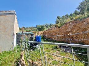 ¡Oportunidad en Jayena! Finca de Olivar con Casita y Luz Sol - foto 13