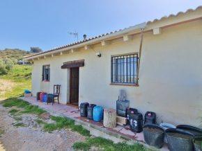 ¡Oportunidad en Jayena! Finca de Olivar con Casita y Luz Sol - foto 14