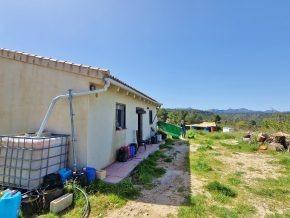 ¡Oportunidad en Jayena! Finca de Olivar con Casita y Luz Sol - foto 15