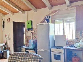 ¡Oportunidad en Jayena! Finca de Olivar con Casita y Luz Sol - foto 18