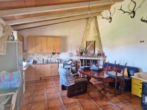 ¡Oportunidad en Jayena! Finca de Olivar con Casita y Luz Sol - foto 22