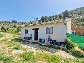 ¡Oportunidad en Jayena! Finca de Olivar con Casita y Luz Sol - foto 23