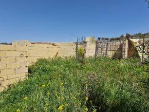 ¡Oportunidad en Jayena! Finca de Olivar con Casita y Luz Sol - foto 25