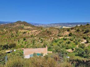 ¡Oportunidad en Jayena! Finca de Olivar con Casita y Luz Sol - foto 7