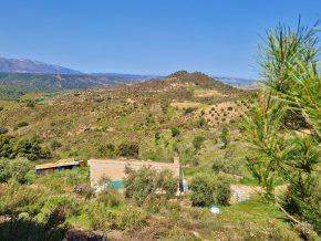 ¡Oportunidad en Jayena! Finca de Olivar con Casita y Luz Sol - foto 8