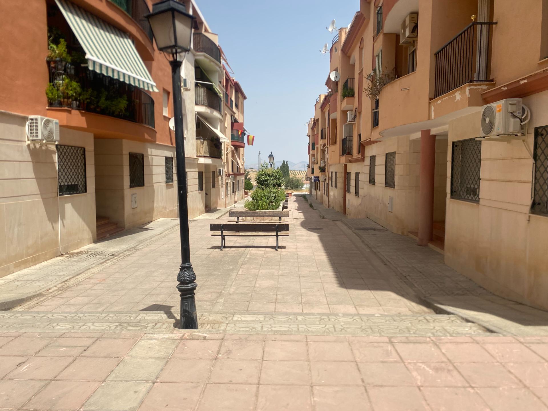 Se vende magnifico local en Las Gabias - foto 16
