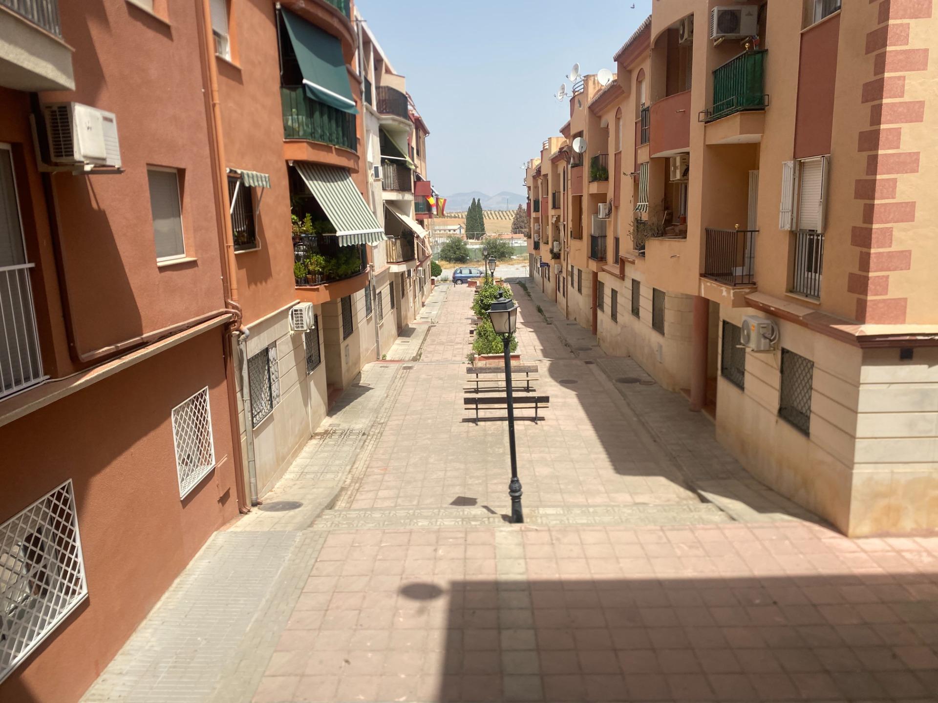 Se vende magnifico local en Las Gabias - foto 17