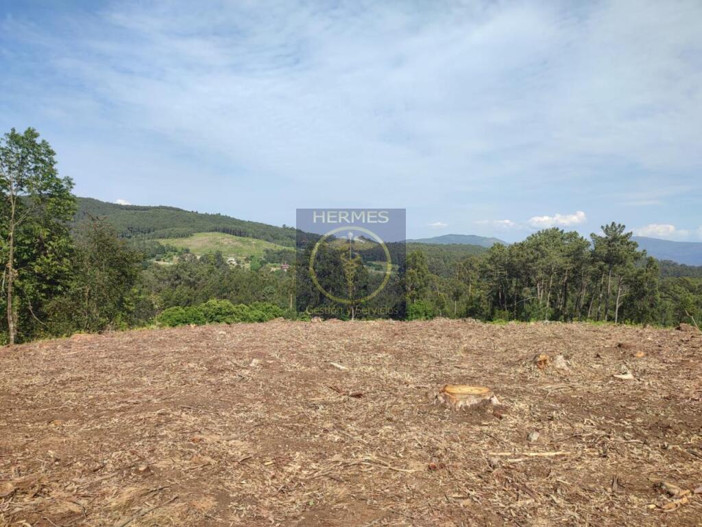Terreno rusticos de 6164 M2 en Pexegueiro Tui